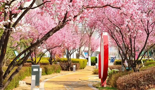 駛向春光里！城發(fā)集團奏響“爭春奮進曲”